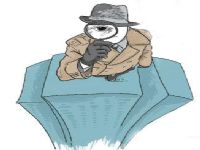 雁塔区取证公司解说第三者承担离婚赔偿责任吗